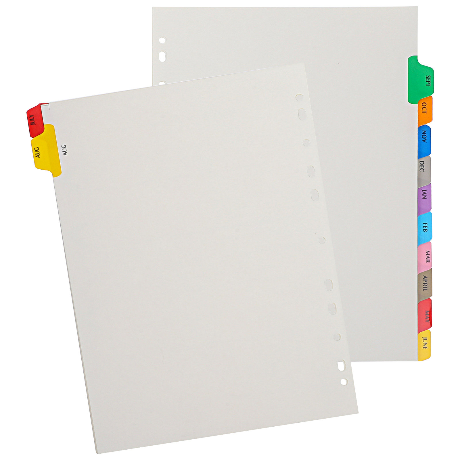 12 ورقة فواصل فهرس قابلة للفصل - مراجعة Tab Divider A4 وسعره