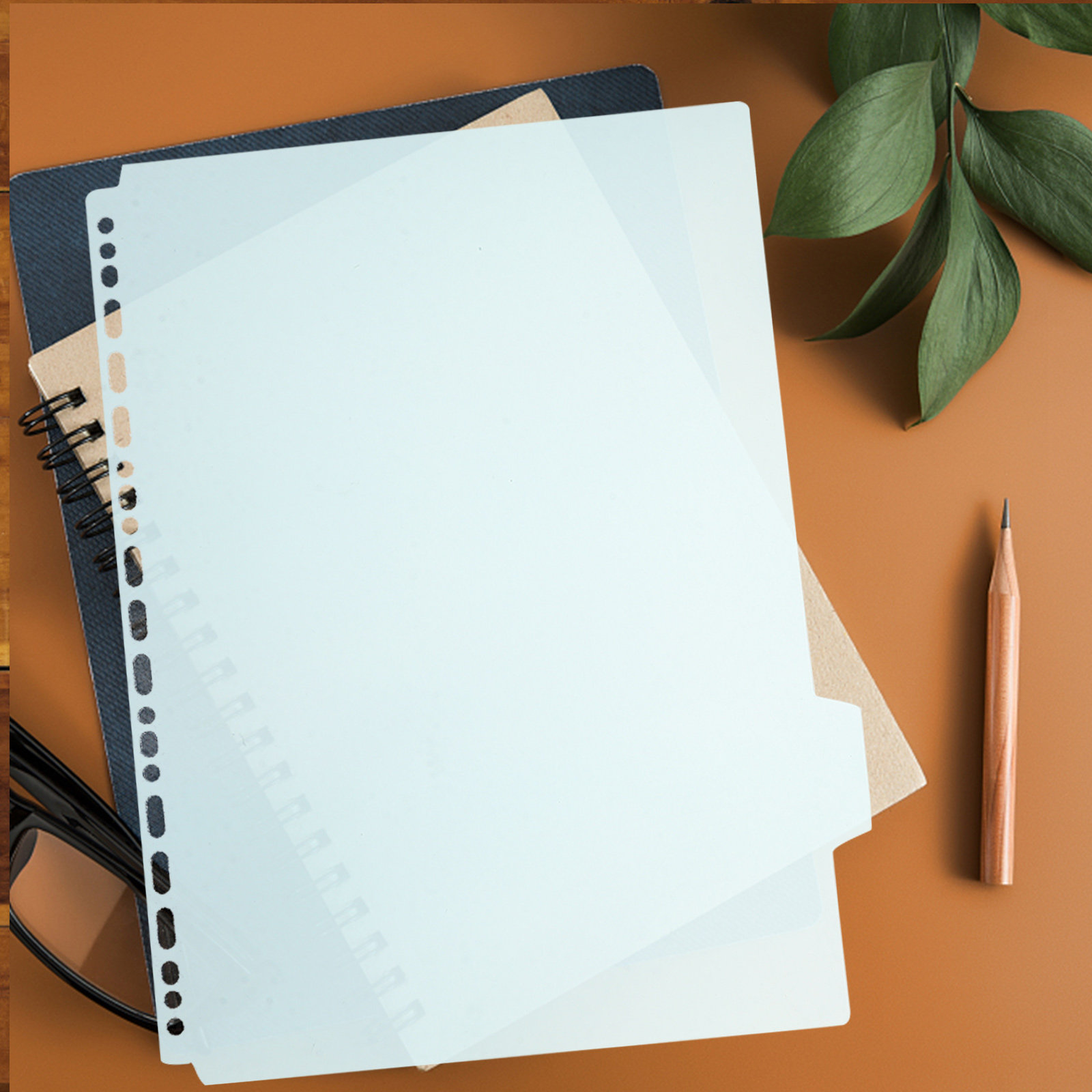 6 قطع من فواصل الملفات ذات الأ - مراجعة Tab Divider A4 وسعره